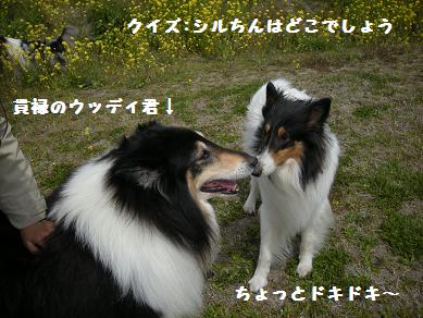 f0081100_22455269.jpg