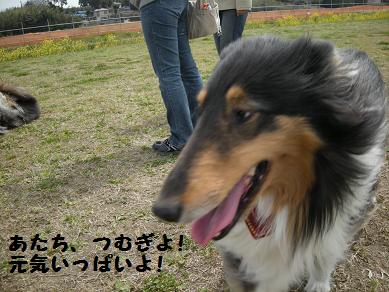 f0081100_2246357.jpg