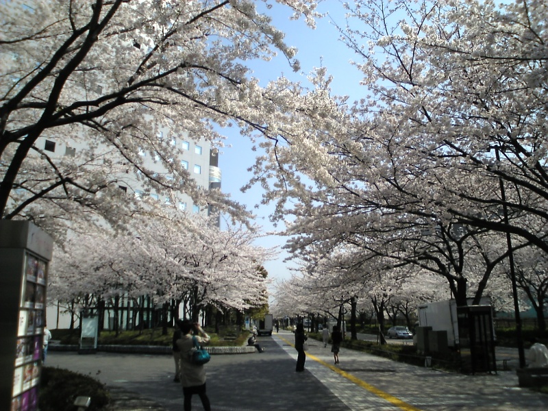 c0129604_20442377.jpg