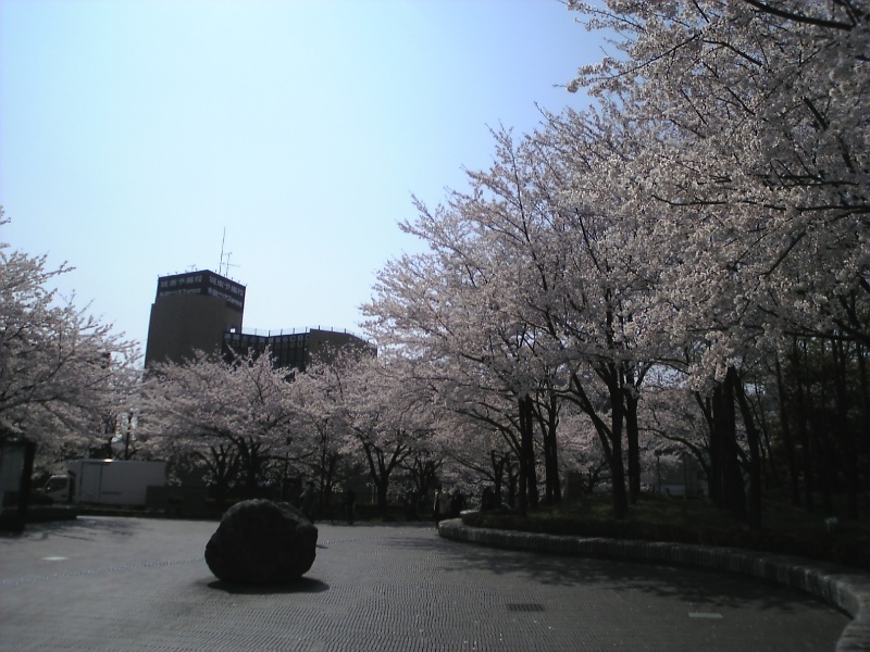 c0129604_20473666.jpg