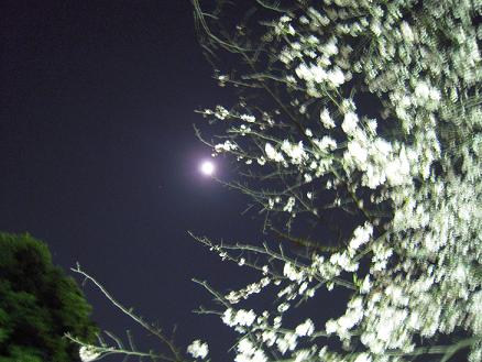 e0068904_21384195.jpg