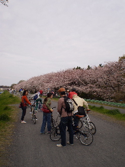 f0086008_0174255.jpg
