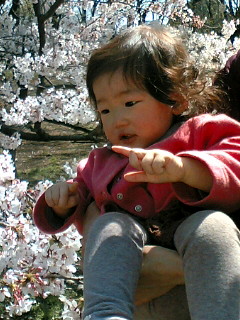 a0113310_23234614.jpg