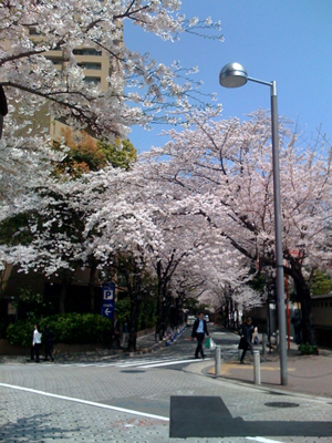 f0033510_22232079.jpg