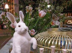 Pâques Easter Ⅰ 復活祭 1_c0097611_1464993.jpg