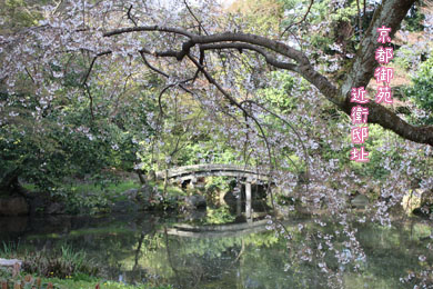 e0156015_0174726.jpg
