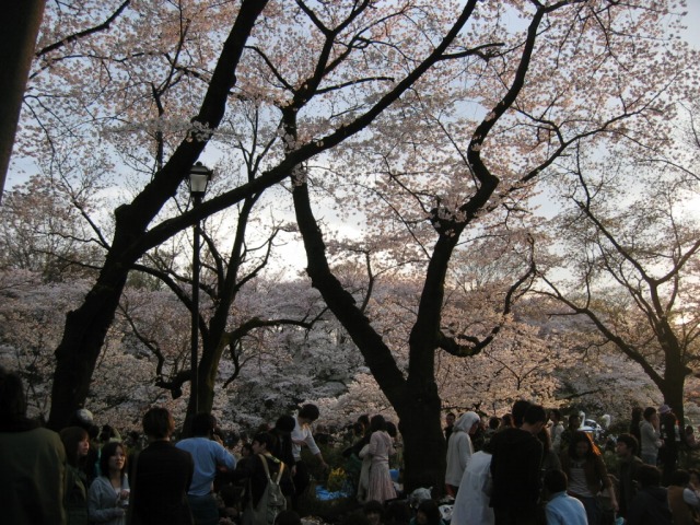 f0065815_23584631.jpg