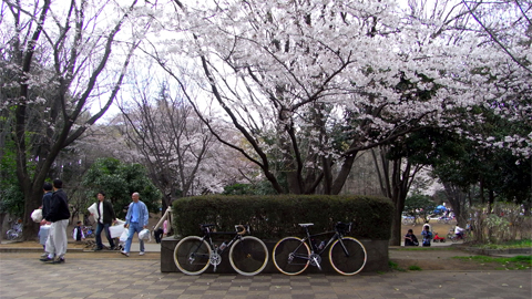 f0171215_12331968.jpg
