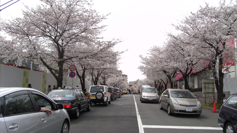 f0171215_123415.jpg