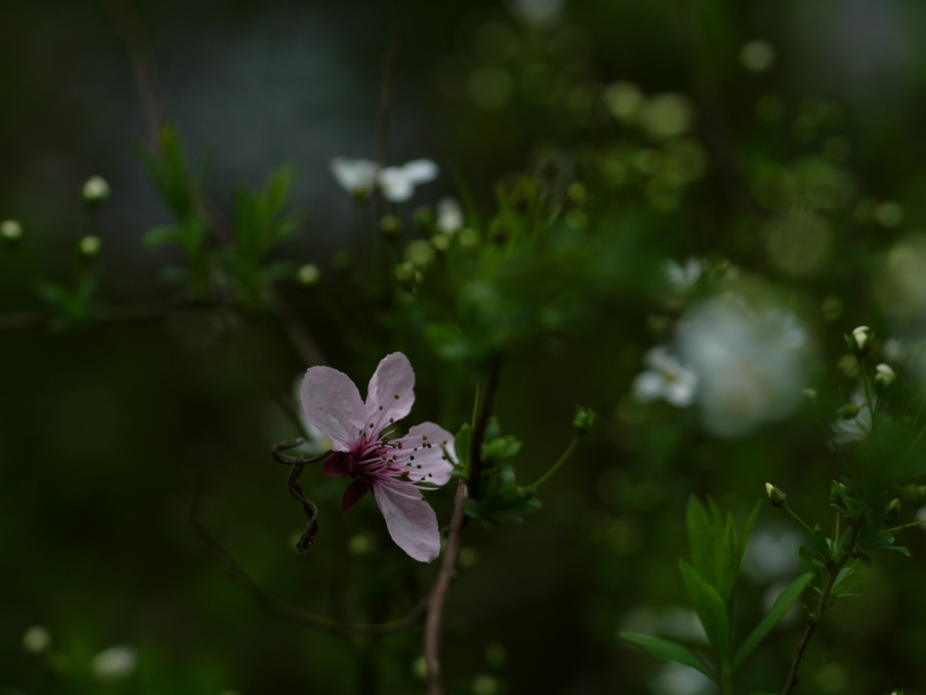 b0148617_17574765.jpg