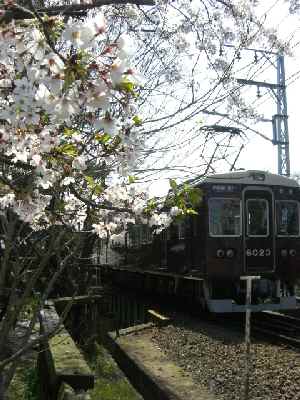 d0072318_1622363.jpg