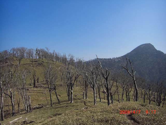 e0171018_21575859.jpg