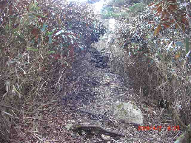 e0171018_2157647.jpg