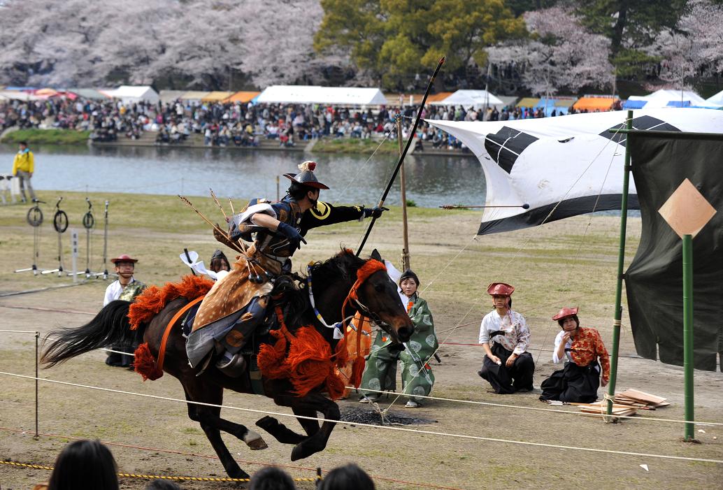 岡崎桜祭り_c0046520_2053282.jpg