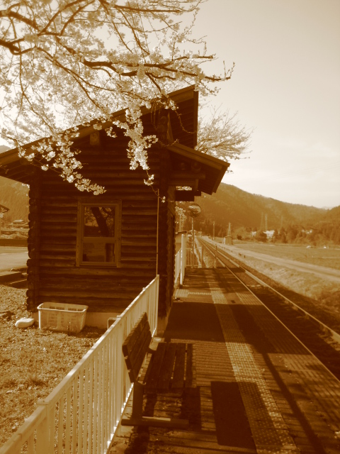 c0177527_04746.jpg