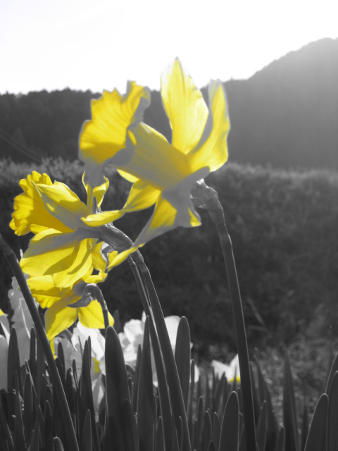 c0177527_0562150.jpg