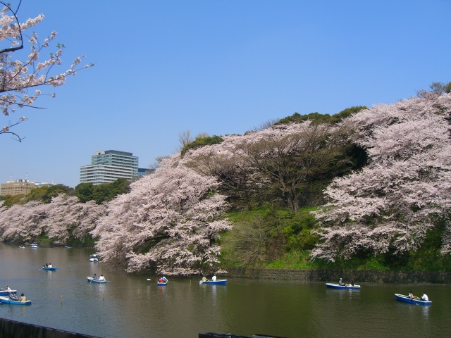 b0157532_16505378.jpg