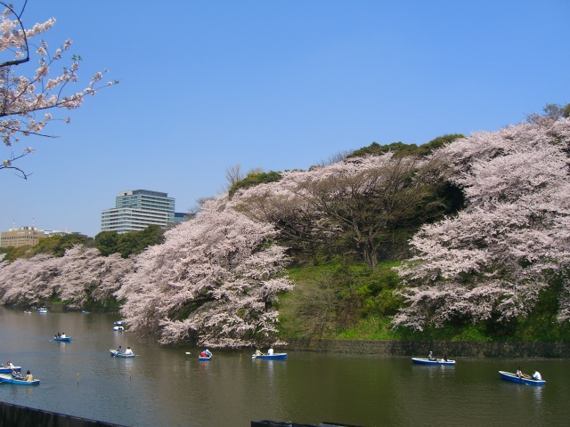 千鳥が淵からコンニチハ。_b0157532_16505378.jpg