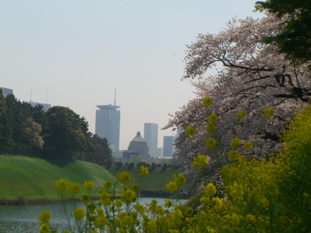 b0157532_1652524.jpg