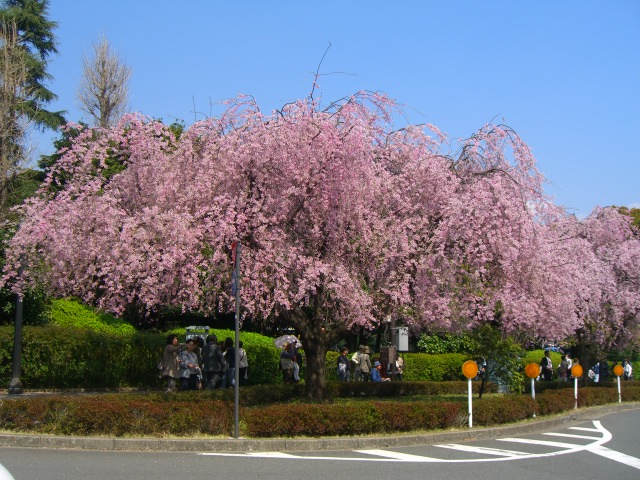 b0157532_16545673.jpg