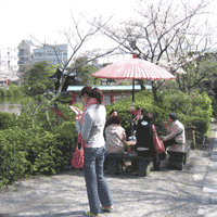 d0033734_16123671.gif
