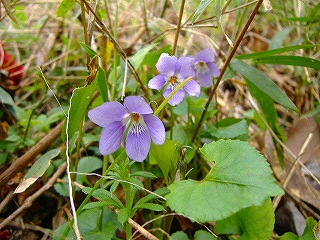 c0056437_2149542.jpg