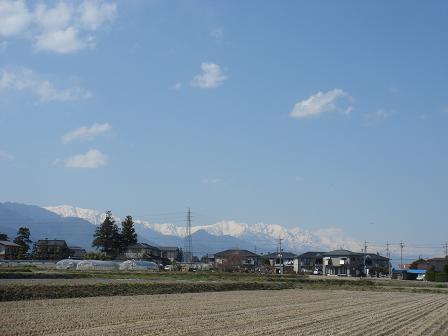 a0014840_234863.jpg