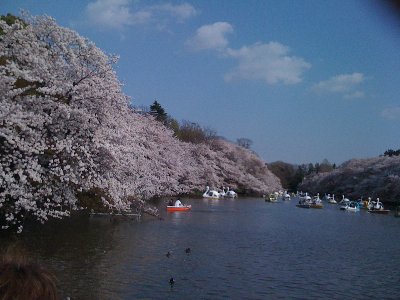 c0146040_18434946.jpg