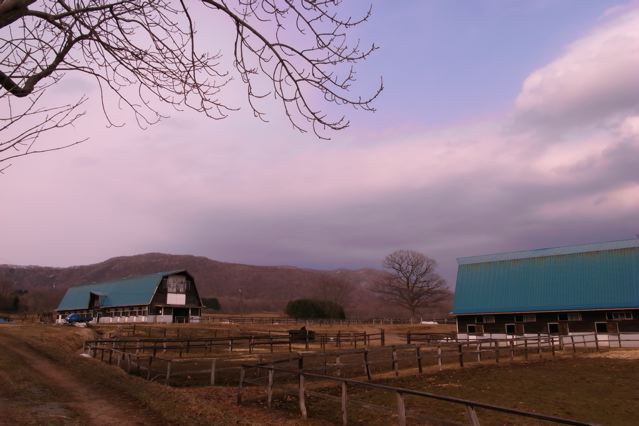 c0184643_03625.jpg
