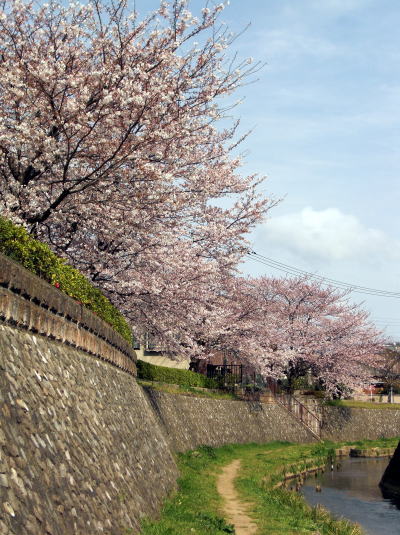 f0094843_0543650.jpg
