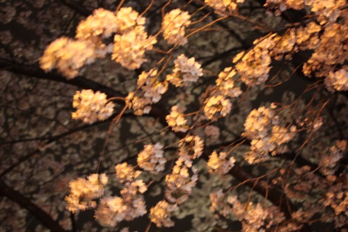 c0118352_433352.jpg