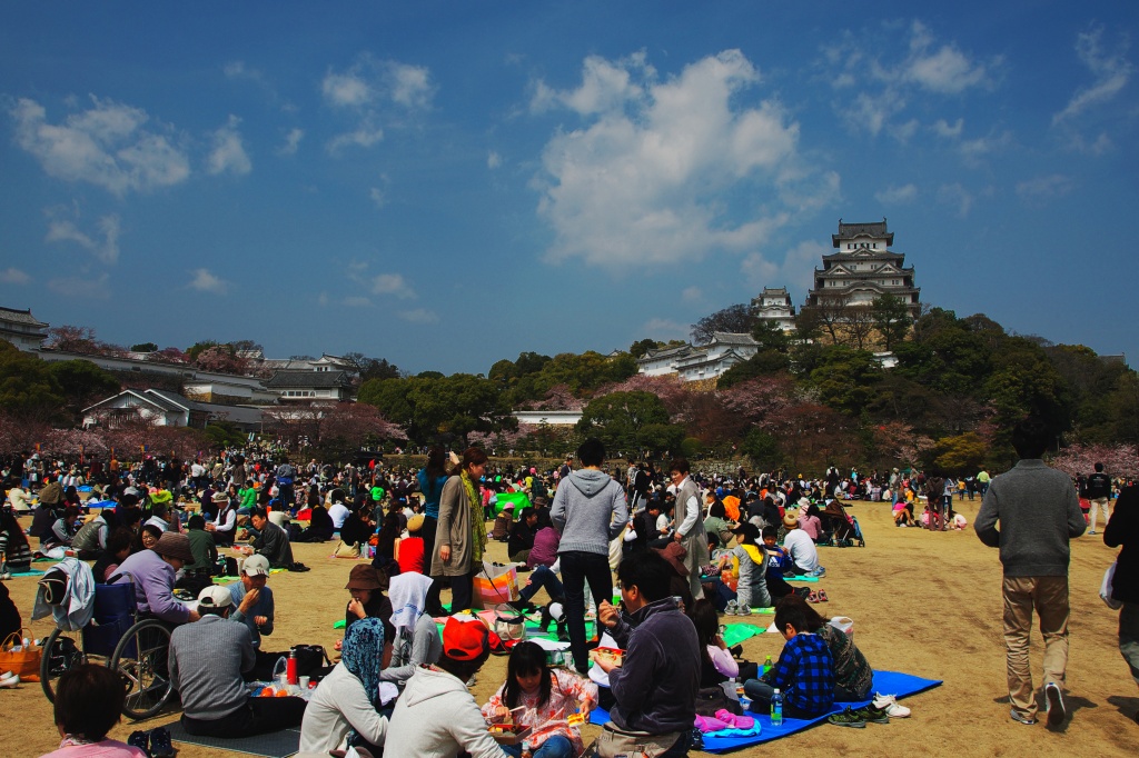 f0049152_8412673.jpg