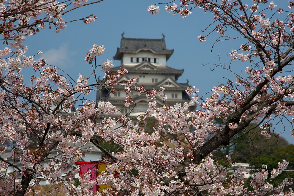 桜とお城_f0049152_841372.jpg