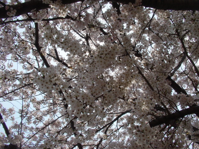 d0143957_12144731.jpg