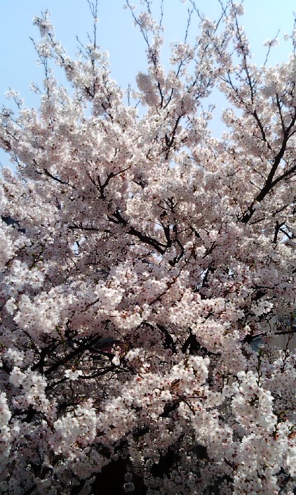 c0173159_2111080.jpg