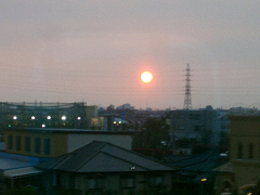 f0147759_18545597.jpg