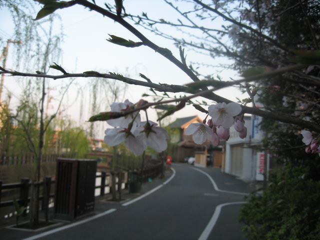 春の散歩道_c0162160_13224757.jpg