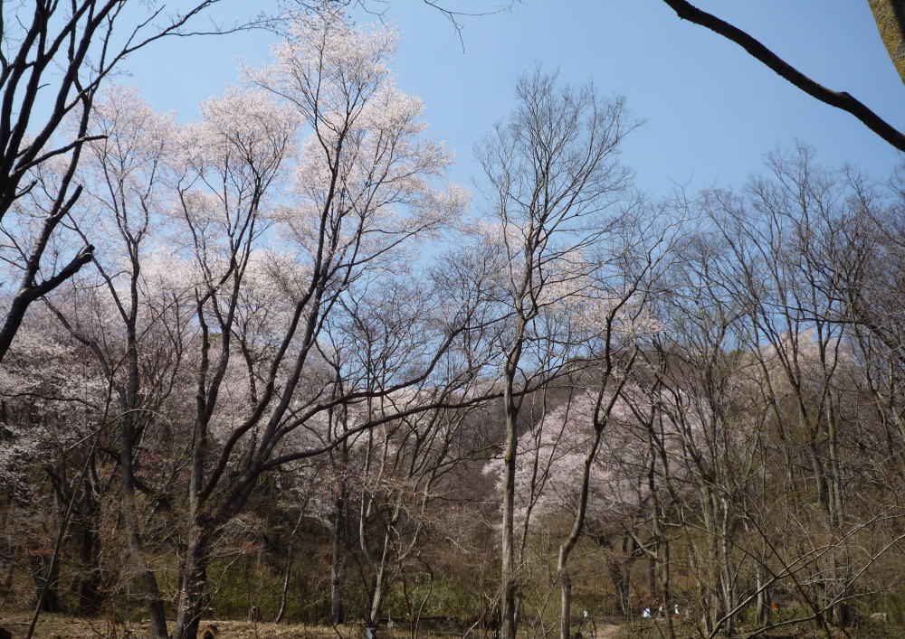 b0129962_17595043.jpg