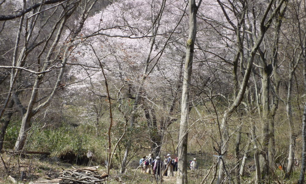 b0129962_177051.jpg