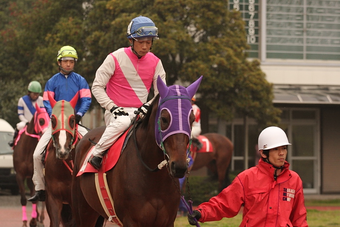 高橋利幸騎手、高知競馬初勝利~_a0077663_1811019.jpg