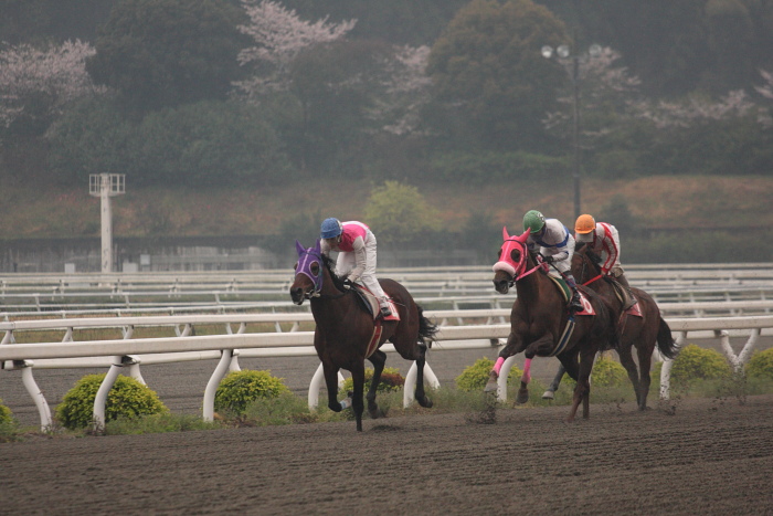 高橋利幸騎手、高知競馬初勝利～_a0077663_18113319.jpg