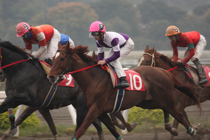 高橋利幸騎手、高知競馬初勝利～_a0077663_18114375.jpg