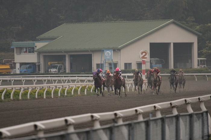 高橋利幸騎手、高知競馬初勝利～_a0077663_18115166.jpg