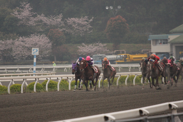 高橋利幸騎手、高知競馬初勝利～_a0077663_18115867.jpg