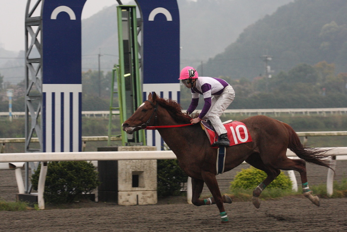 高橋利幸騎手、高知競馬初勝利~_a0077663_1812633.jpg