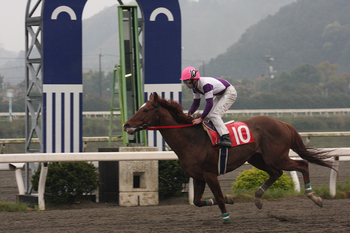 高橋利幸騎手、高知競馬初勝利～_a0077663_1812633.jpg