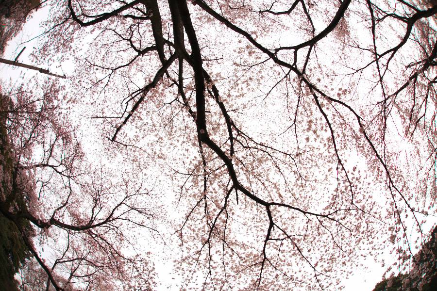 d0062964_1913941.jpg