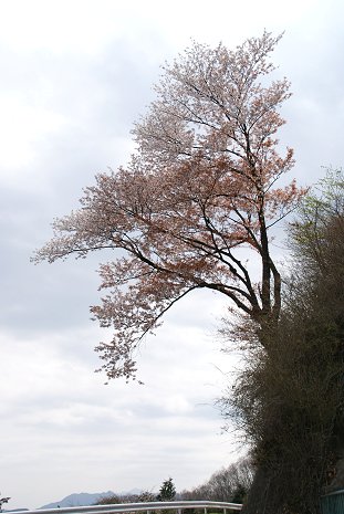 a0039366_17363030.jpg