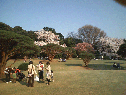 c0137869_23231650.gif