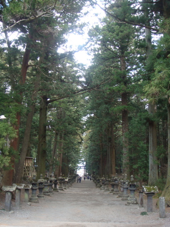 2009.4.6  富士吉田_a0083571_010179.jpg